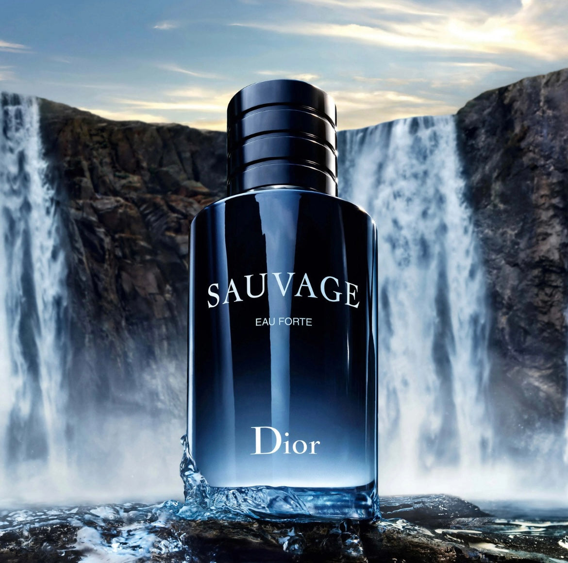 SAUVAGE Dior perfume